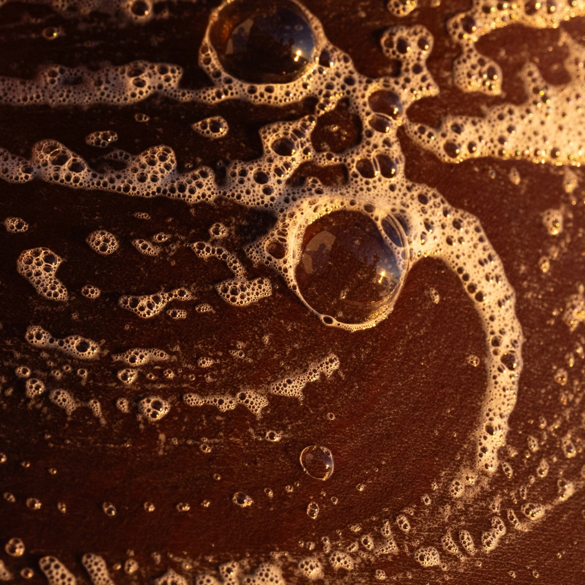 Hydrating Argan Body Wash - Image 6